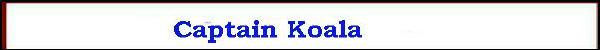 captain_koala.jpg